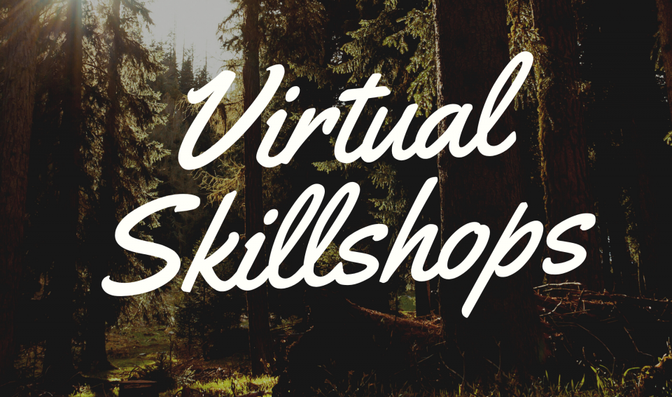 Virtual Skill Shops
